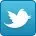 Twitter icon